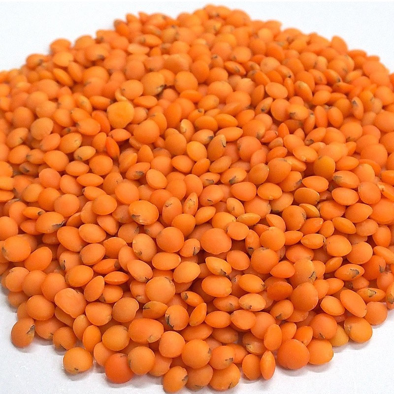 Masoor Dal / Red Lentils ( Bangladesh) - Peeled, Cleaned