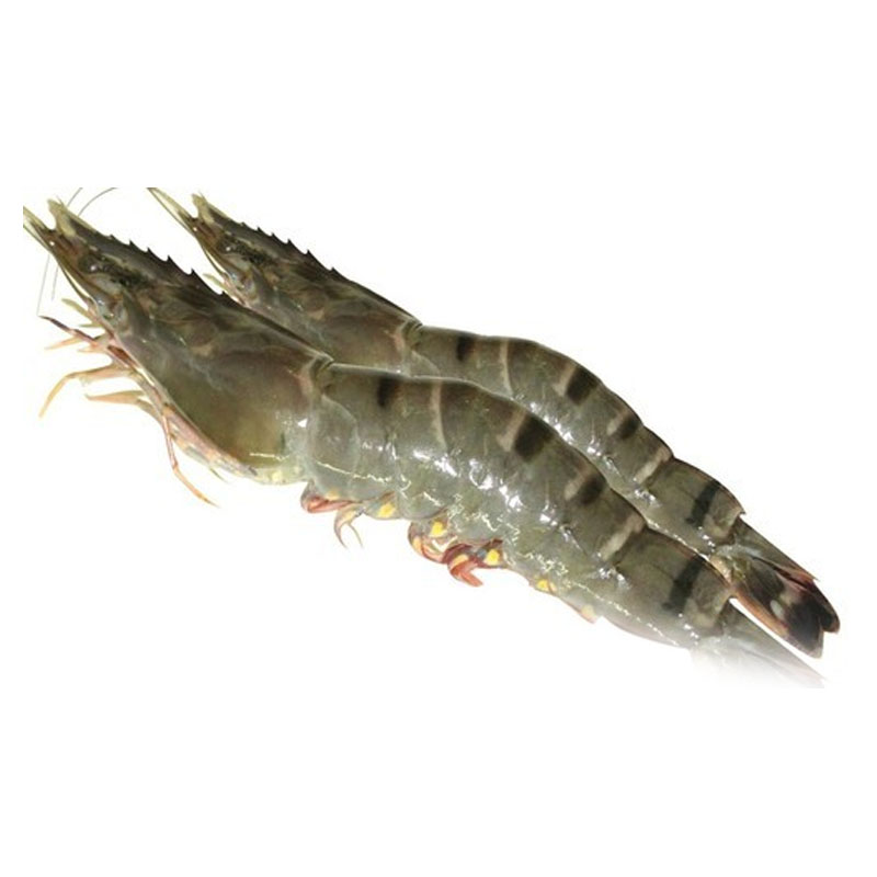 Shrimp Whole 8-10pcs 500gm