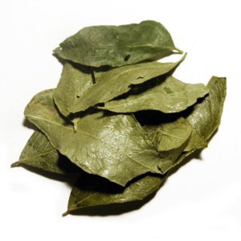 Curry Leaf / Pata (Dry)