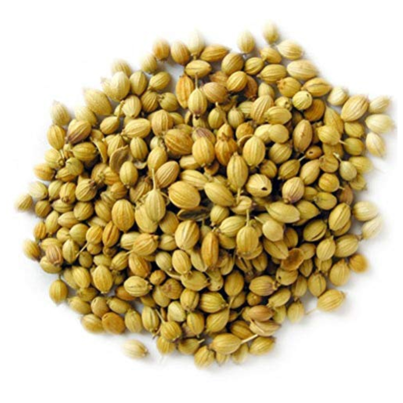 Coriander Whole/ Dhonia