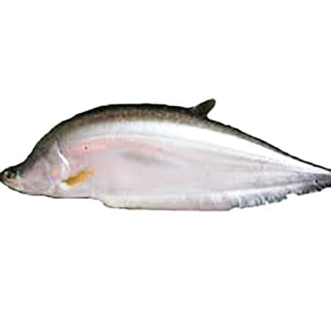 Foly Fish, 800g